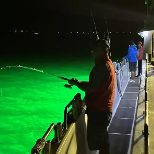 The Ocean Lights That Bring Fish Out of the Darkness: The Fascinating World of Fishing Lights at Sea